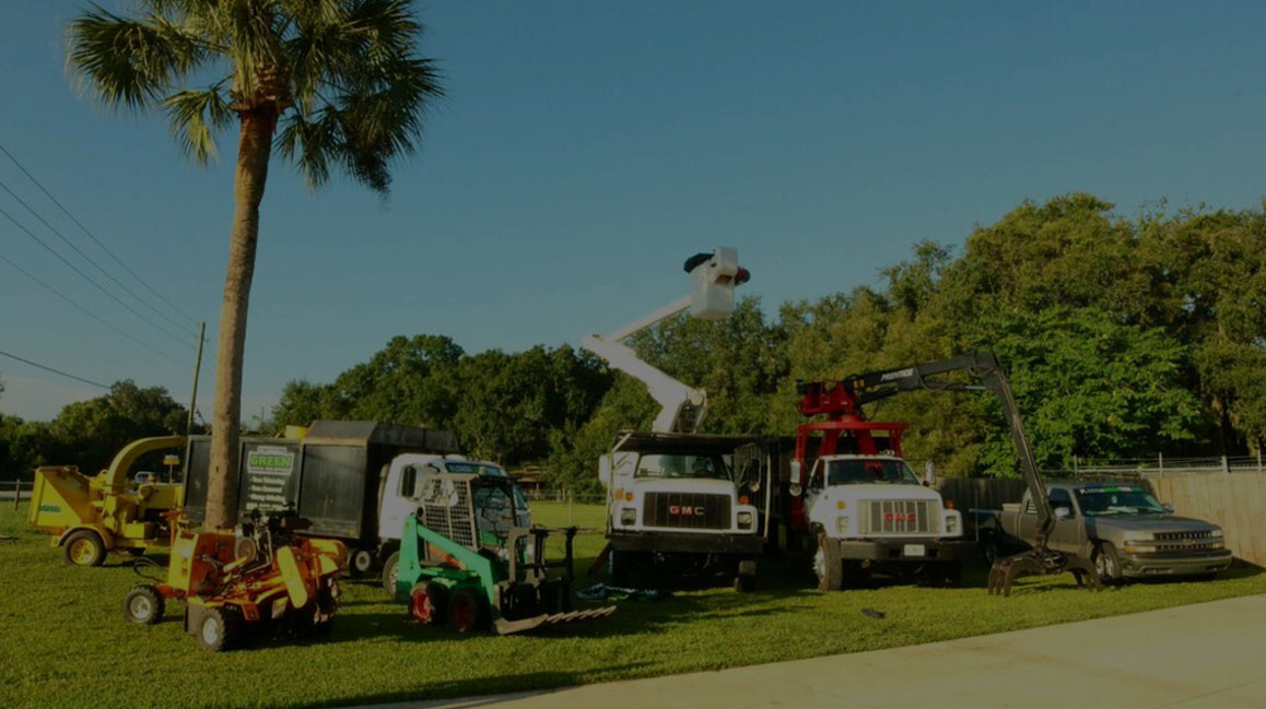Highland City Tree Service
