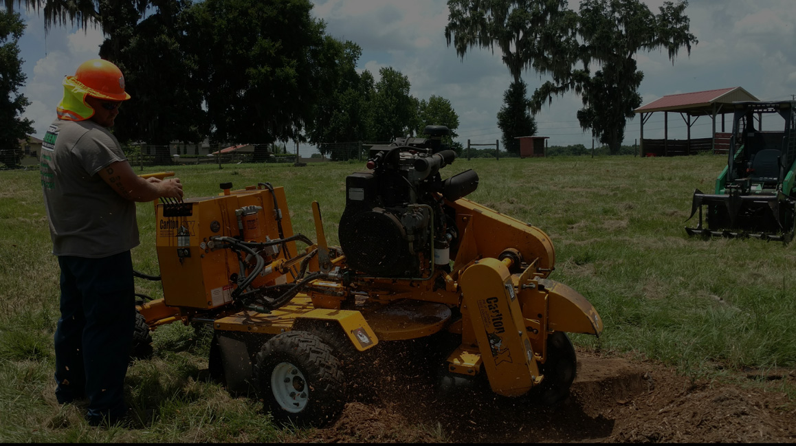 Tree Service, Stump Grinding Lakeland Florida Green Tree
