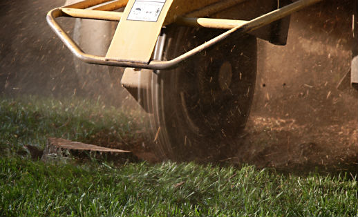 Stump Grinding Lakeland