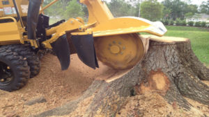 Stump Grinding