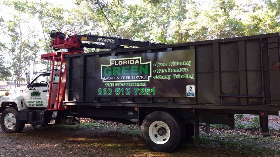 Avon Park Tree Service