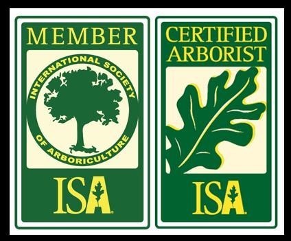 Winter Haven Tree Service