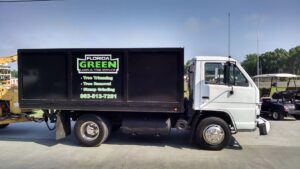 Winter Haven Tree Service